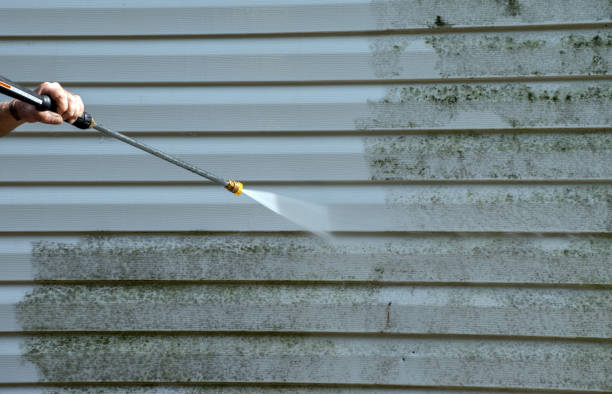 Best Commercial Mold Removal  in Stacy, MN