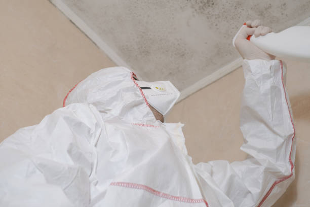 Water Damage Restoration in Stacy, MN